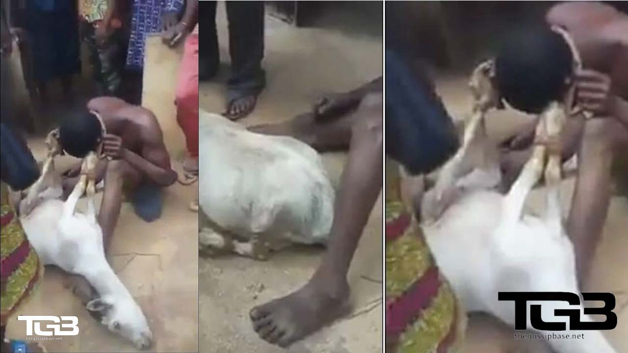 Man caught with goat tied around his neck