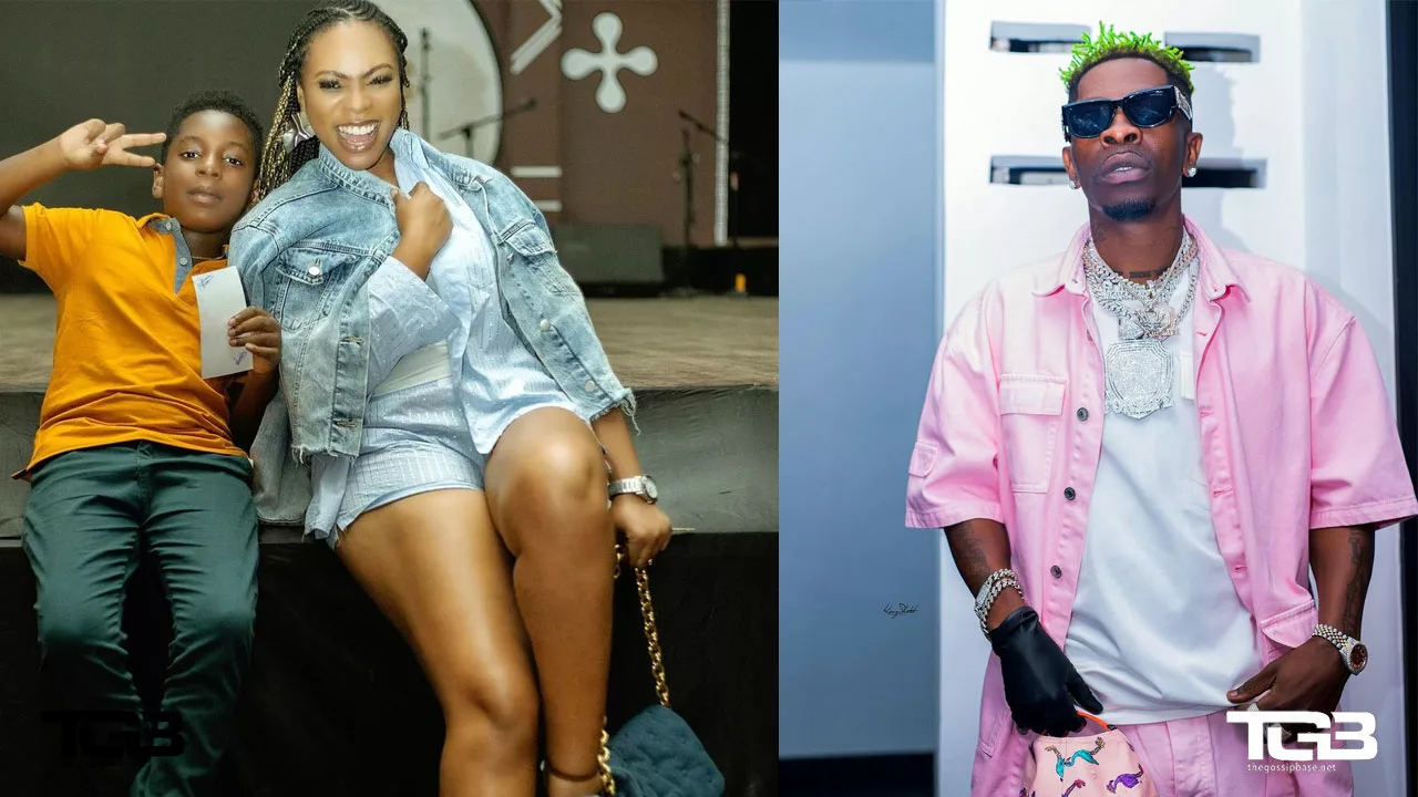 Michy sues Shatta Wale for failing to take care of their son